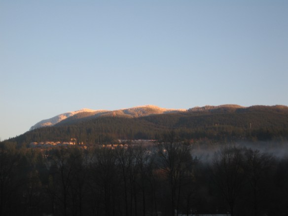 Beauty, just like literature, can be stark.