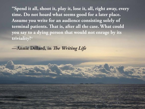 Quote from Annie Dillard